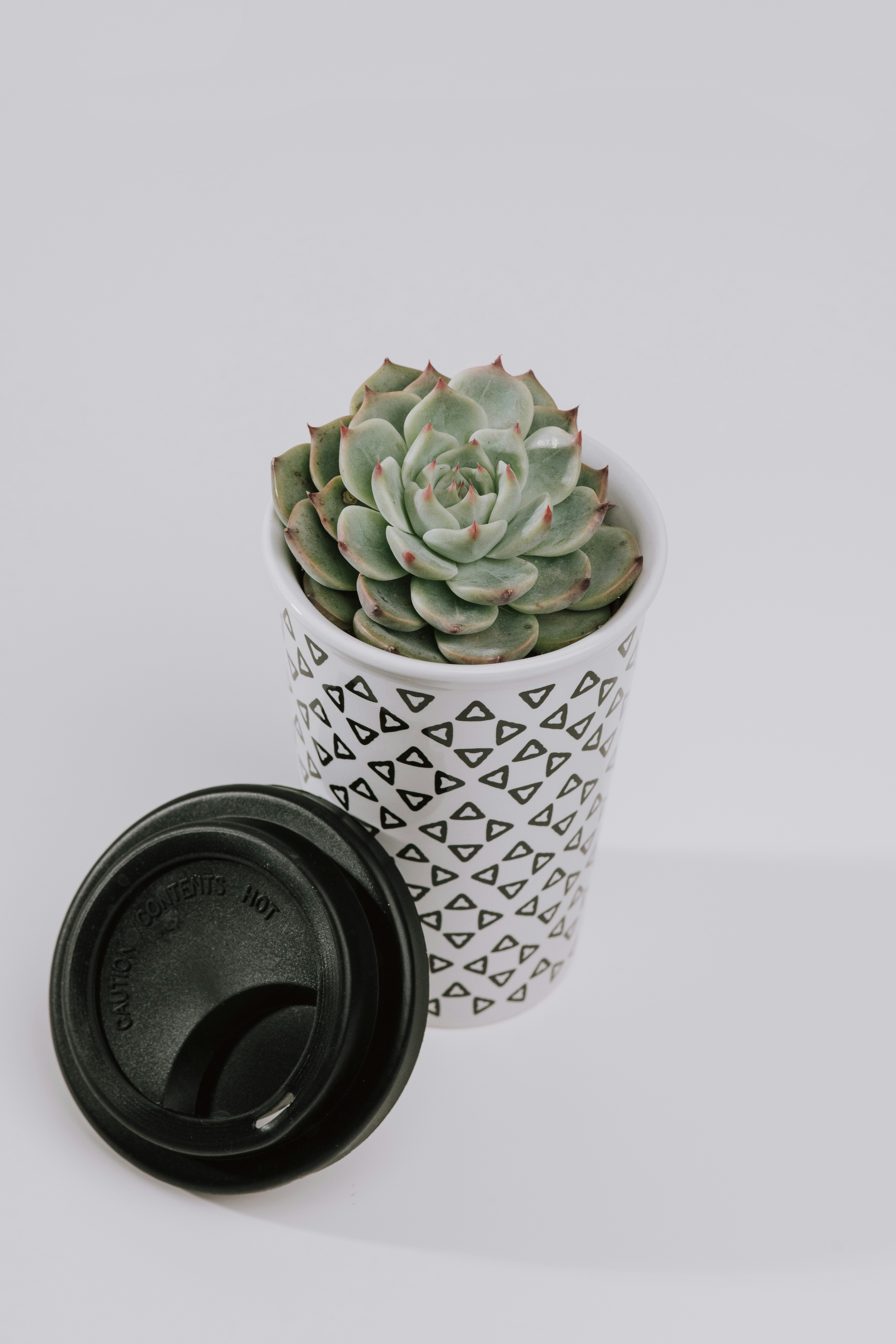 Photo by anitaaustvika