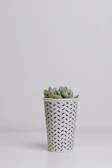 A minimalist white pot with a small succulent arrangement on a bright balcony.