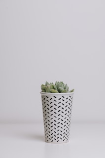 Close-up of a smooth, matte gray plant pot with a small succulent, set against a soft beige background.