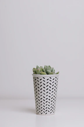 A minimalist white pot with a small succulent arrangement on a bright balcony.