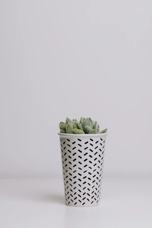 An elegant, minimalist planter pot printed with a textured surface, holding a small succulent.