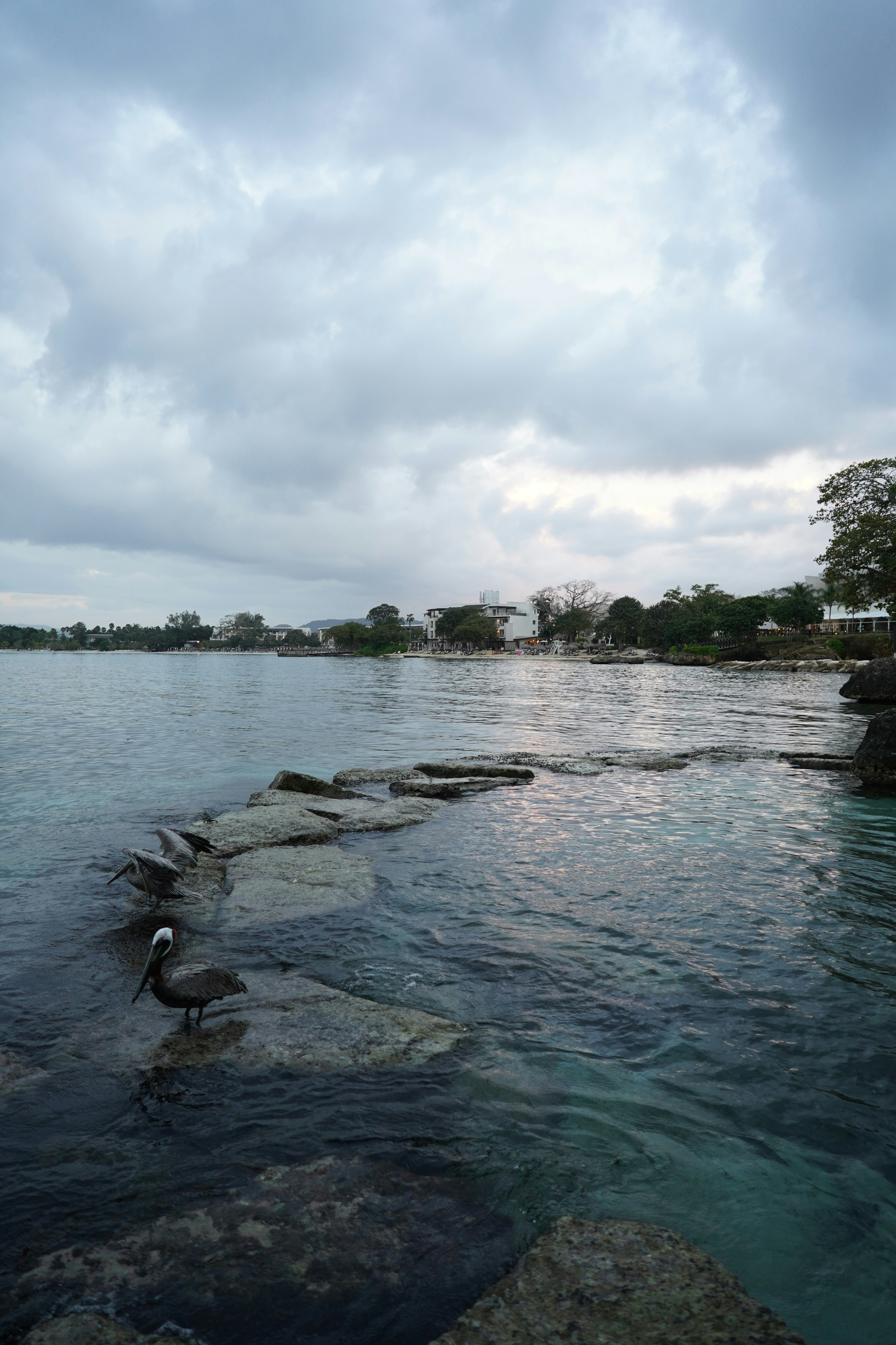 Negril travel photo