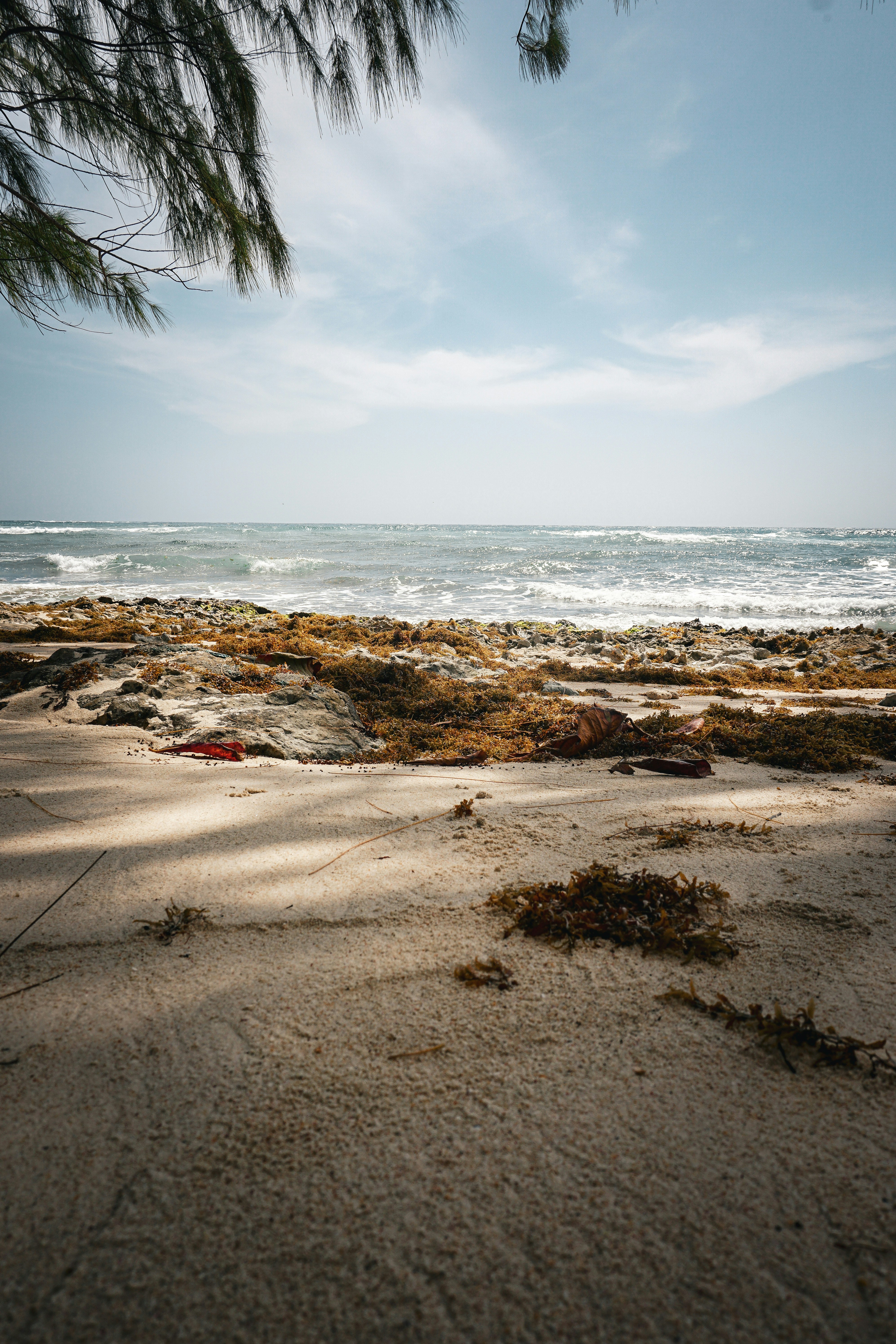 Photo by chloechristinemarketing