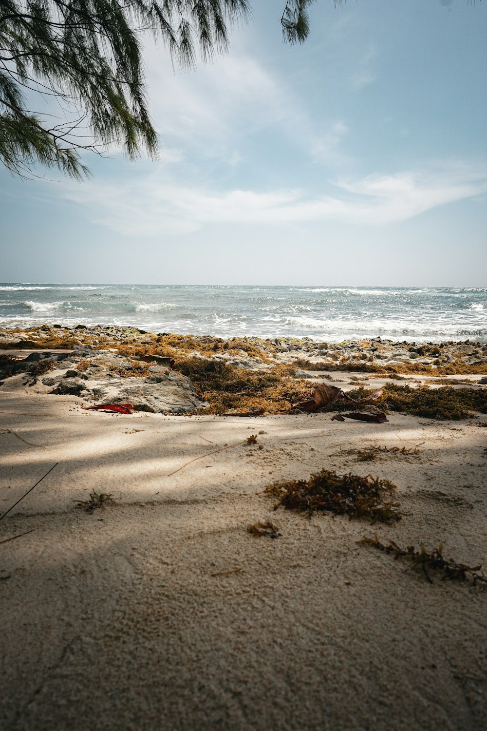 a view of the ocean from a sandy beach