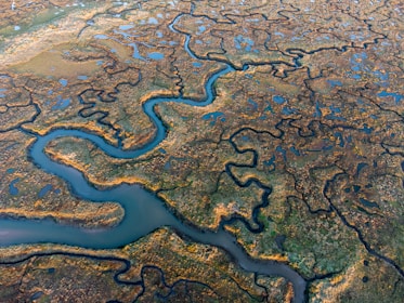 An aerial view of a meandering river cutting through a vast, lush wetland landscape. The scene features intricate patterns of water channels surrounded by patches of greenery and exposed earth. Numerous small ponds dot the area, reflecting the sky and scattered across the landscape.