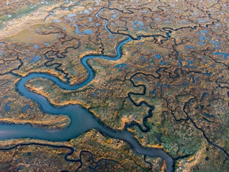 An aerial view of a meandering river cutting through a vast, lush wetland landscape. The scene features intricate patterns of water channels surrounded by patches of greenery and exposed earth. Numerous small ponds dot the area, reflecting the sky and scattered across the landscape.