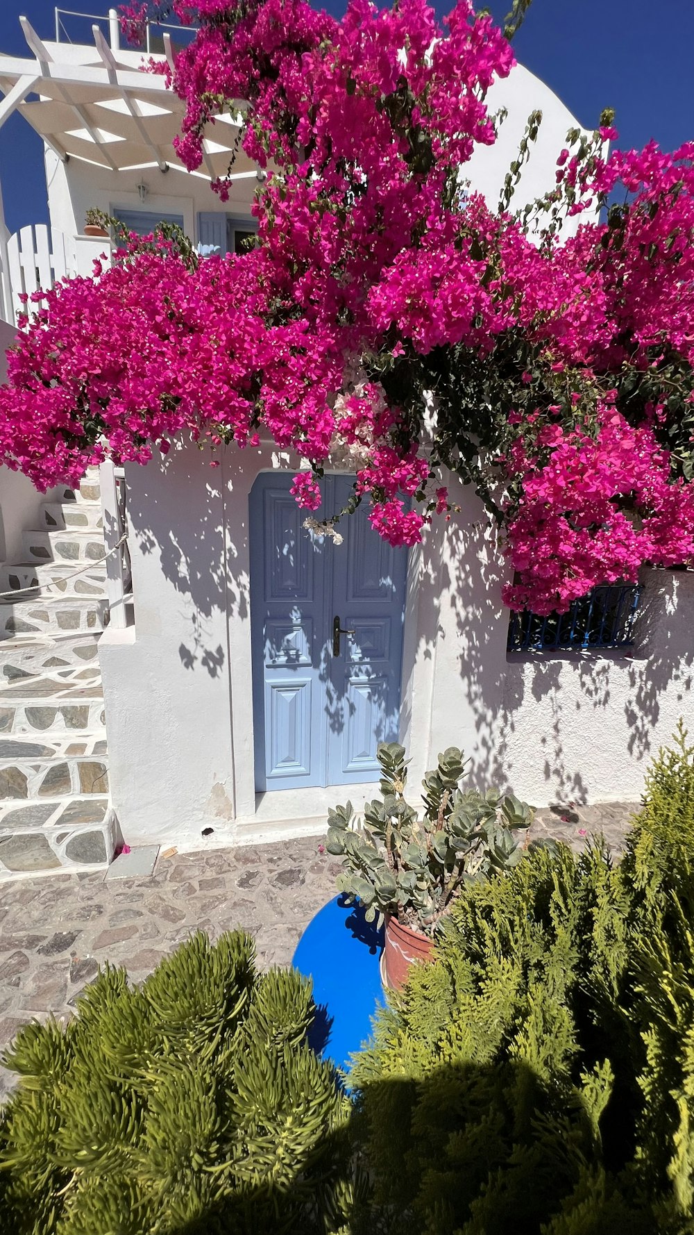 a white house with a blue door and pink flowers