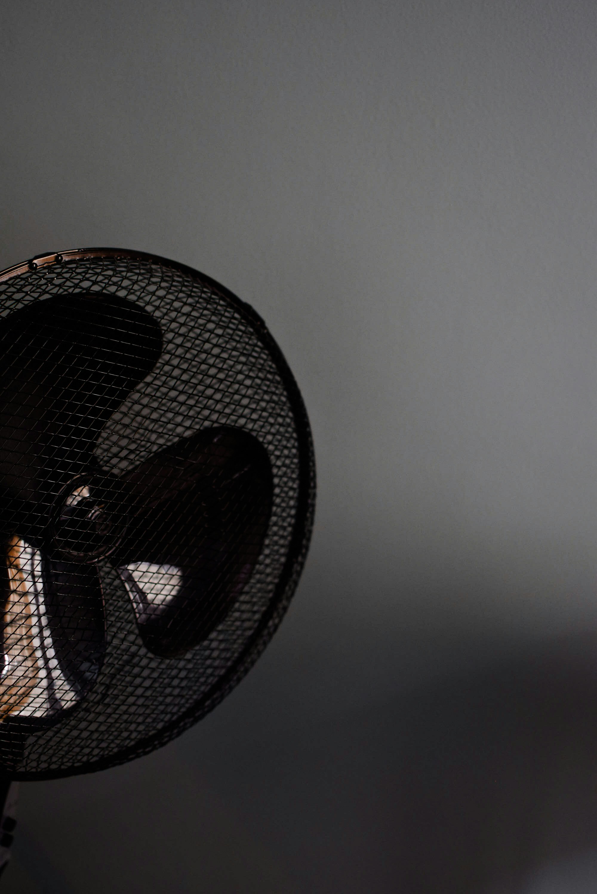 Stylish Ceiling Fan