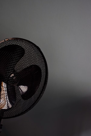 扇子：传统文化与现代生活的结合