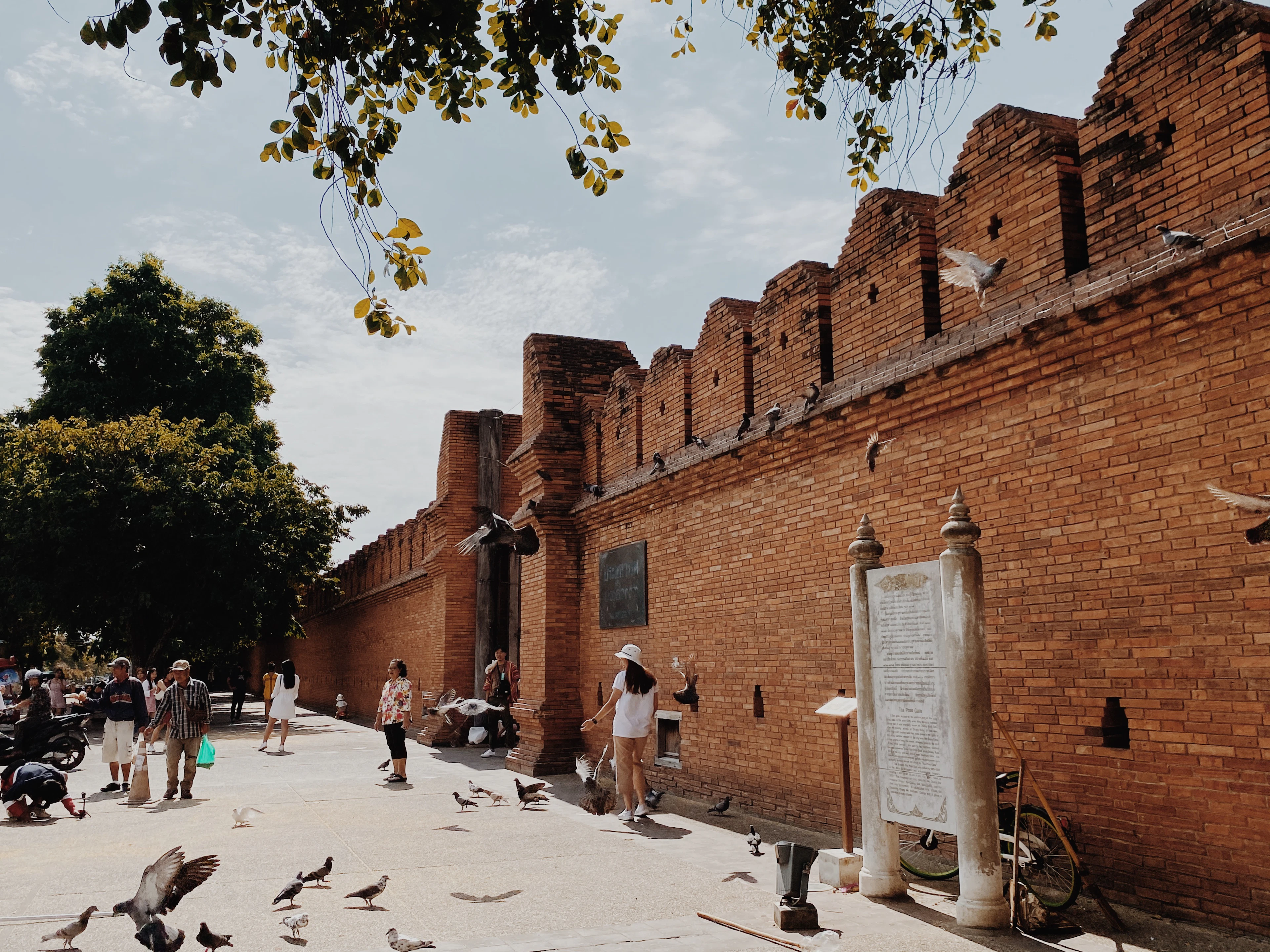 The crenellated red-brick wall and gate of Tha Phae Gate in Chiang Mai's old city on a bright afternoon, pigeons scattering into the air above visitors crossing the sunlit plaza