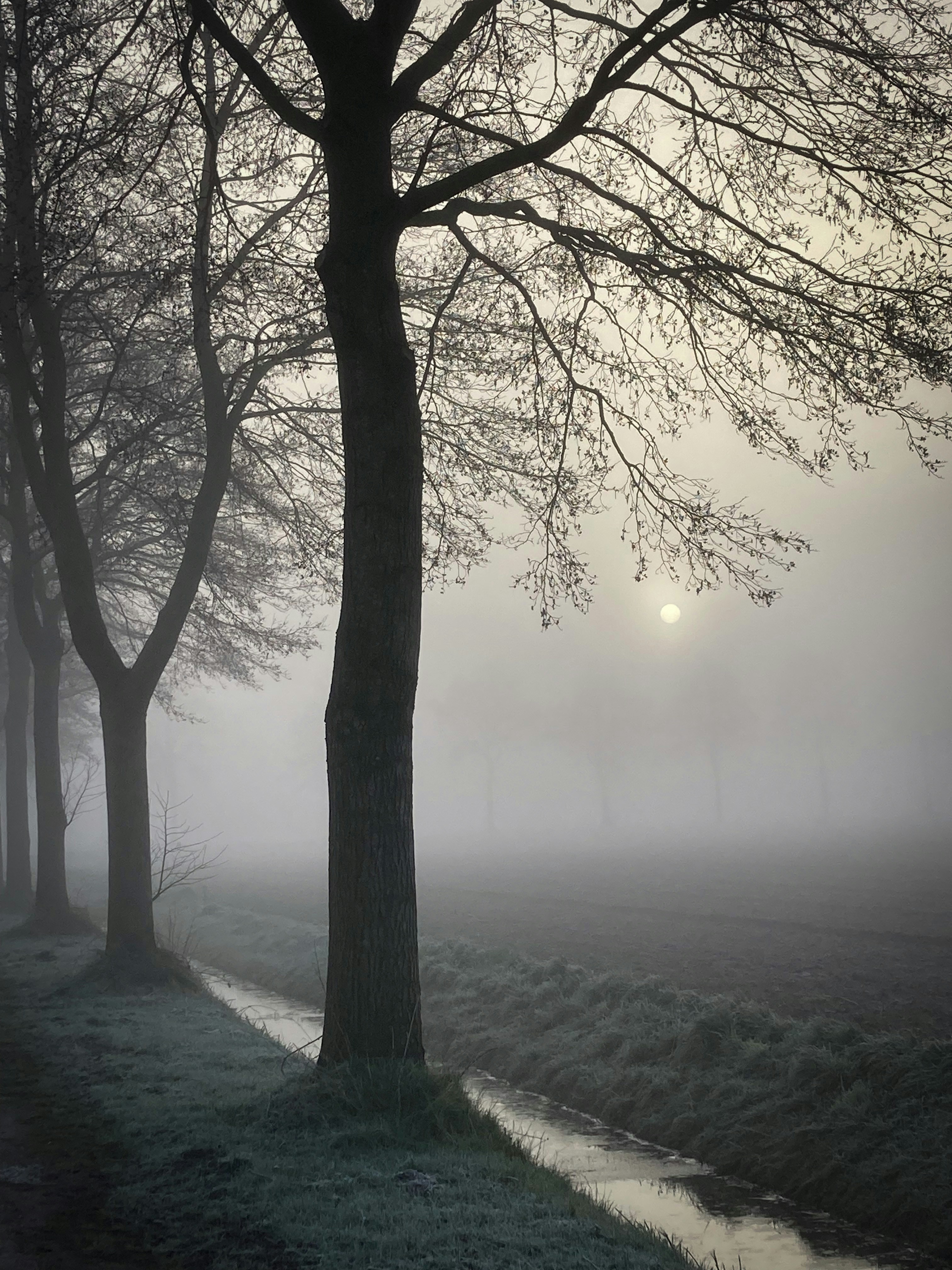 Photo by studiomajonl