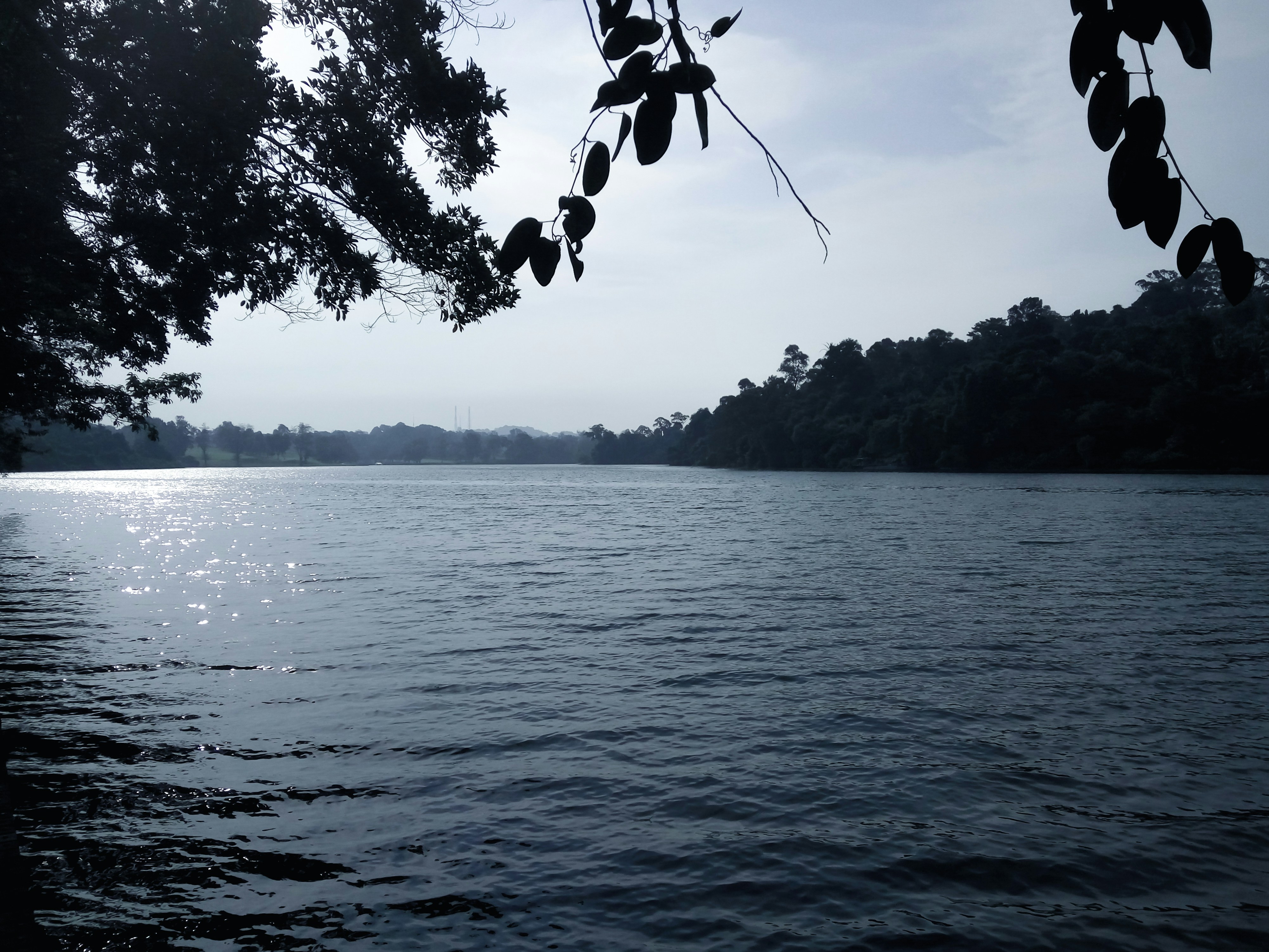 Photo by mechaowlstudios