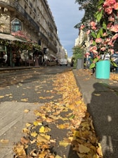A Parisian street lined with historic buildings, featuring a sidewalk covered with fallen autumn leaves. A café with a floral display is visible on the left and vibrant pink flowers in a planter on the right. A white van is parked further down the street.