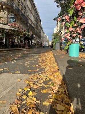 A Parisian street lined with historic buildings, featuring a sidewalk covered with fallen autumn leaves. A café with a floral display is visible on the left and vibrant pink flowers in a planter on the right. A white van is parked further down the street.