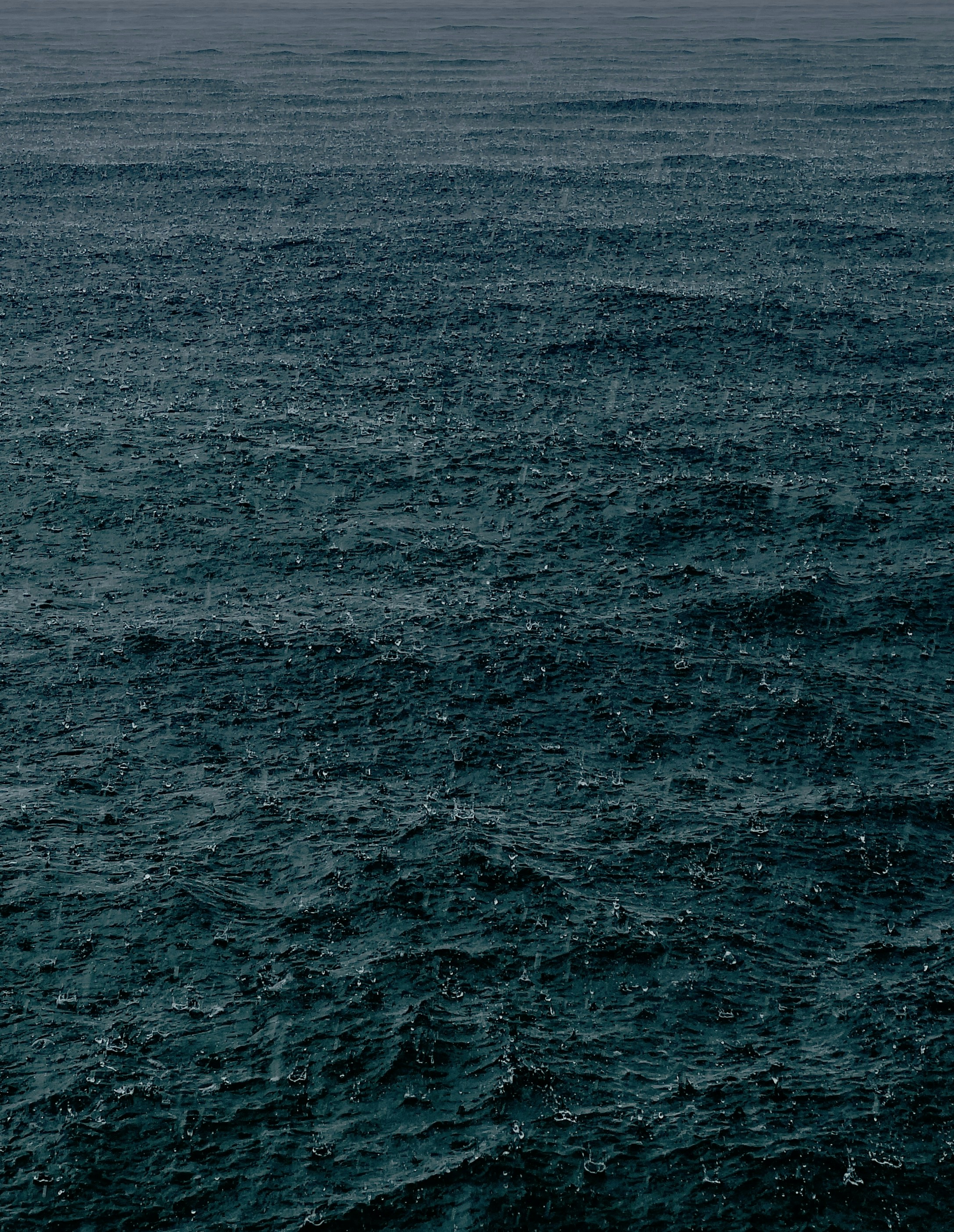 Photo by luisrojasbroc