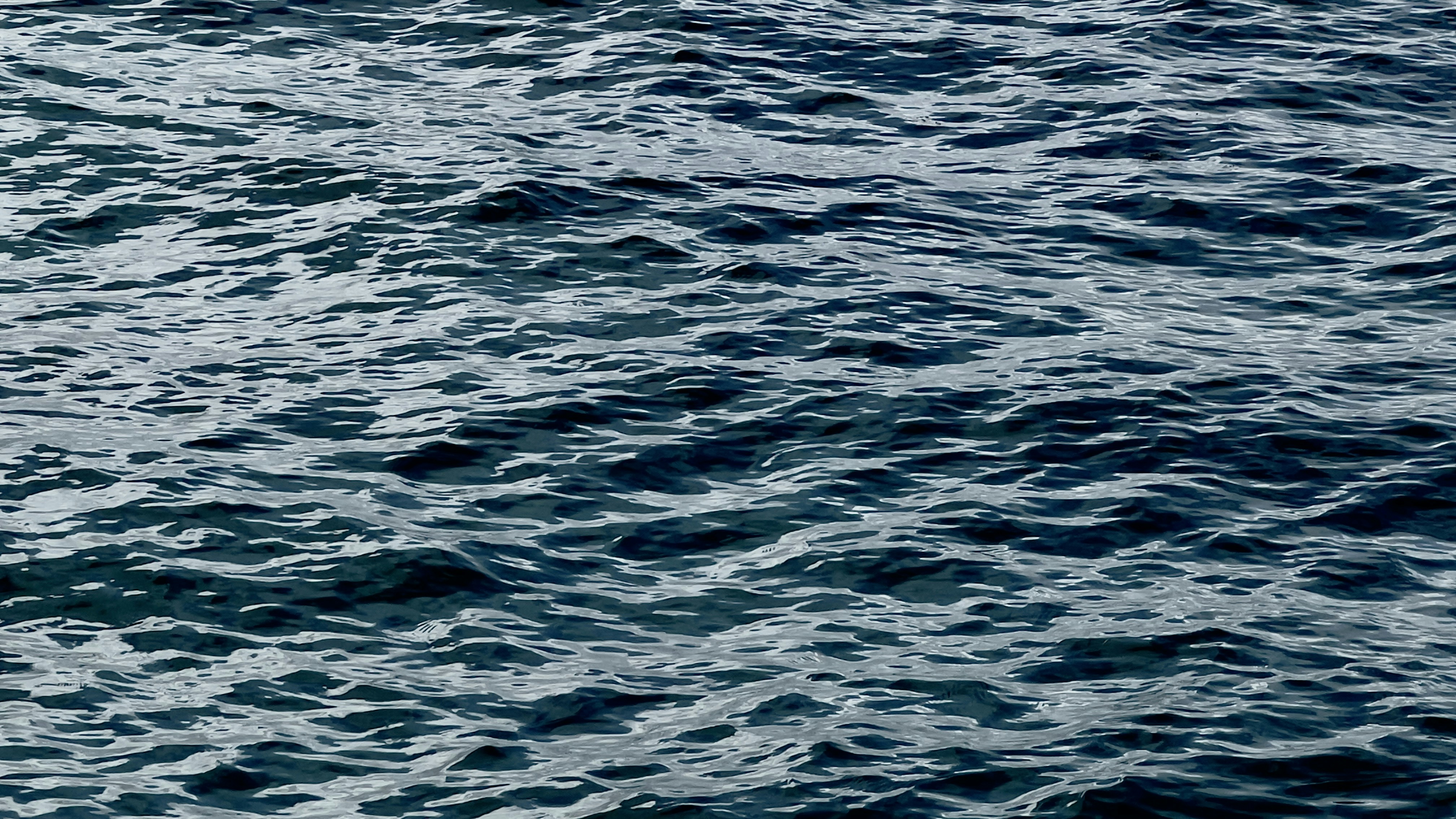 Photo by luisrojasbroc