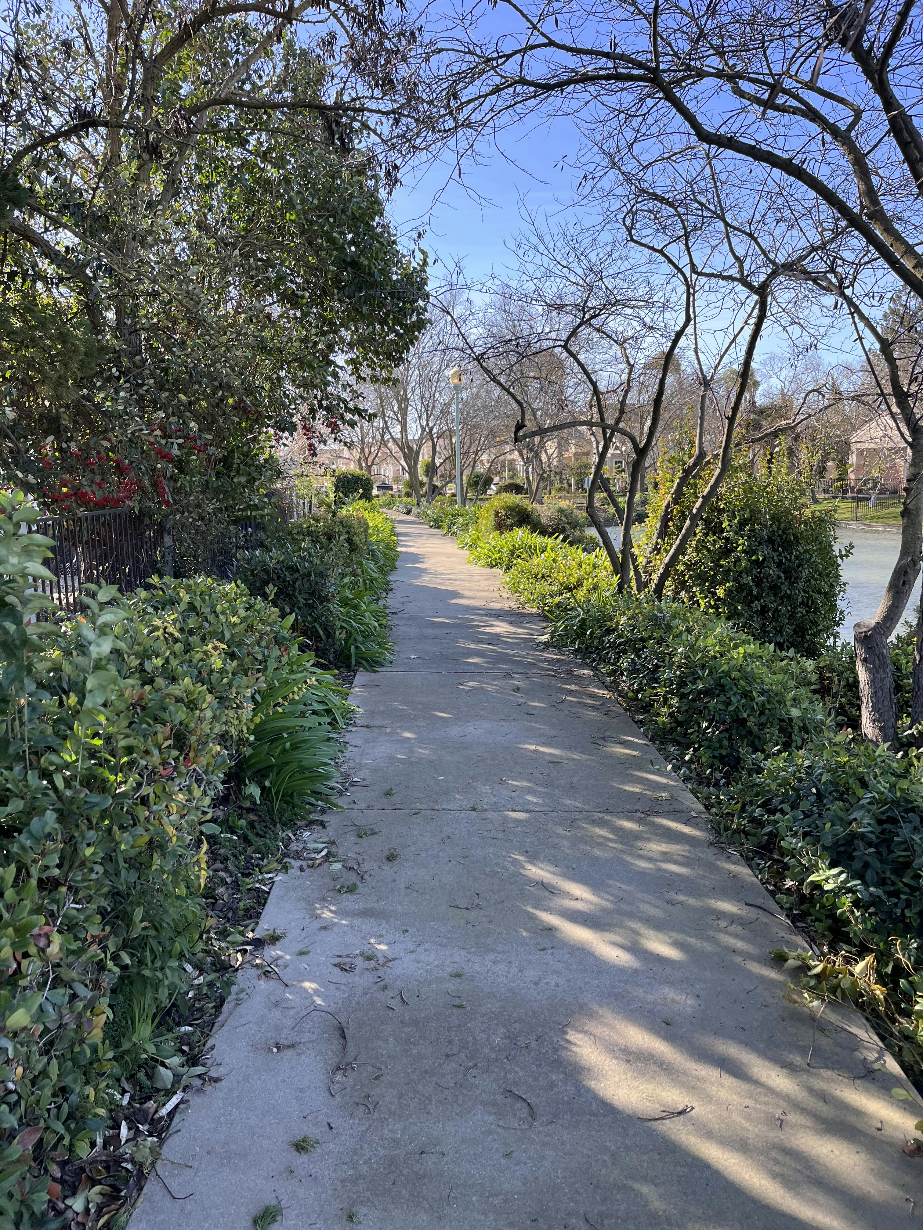 Photo by cookfromcalifornia