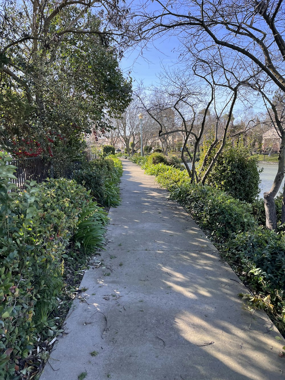 a sidewalk next to a body of water surrounded by trees