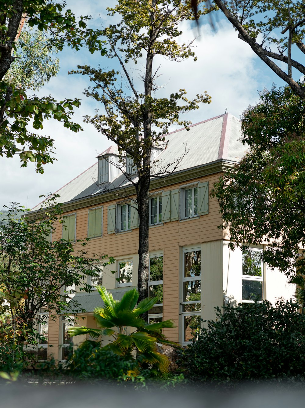 a house with a white roof surrounded by trees