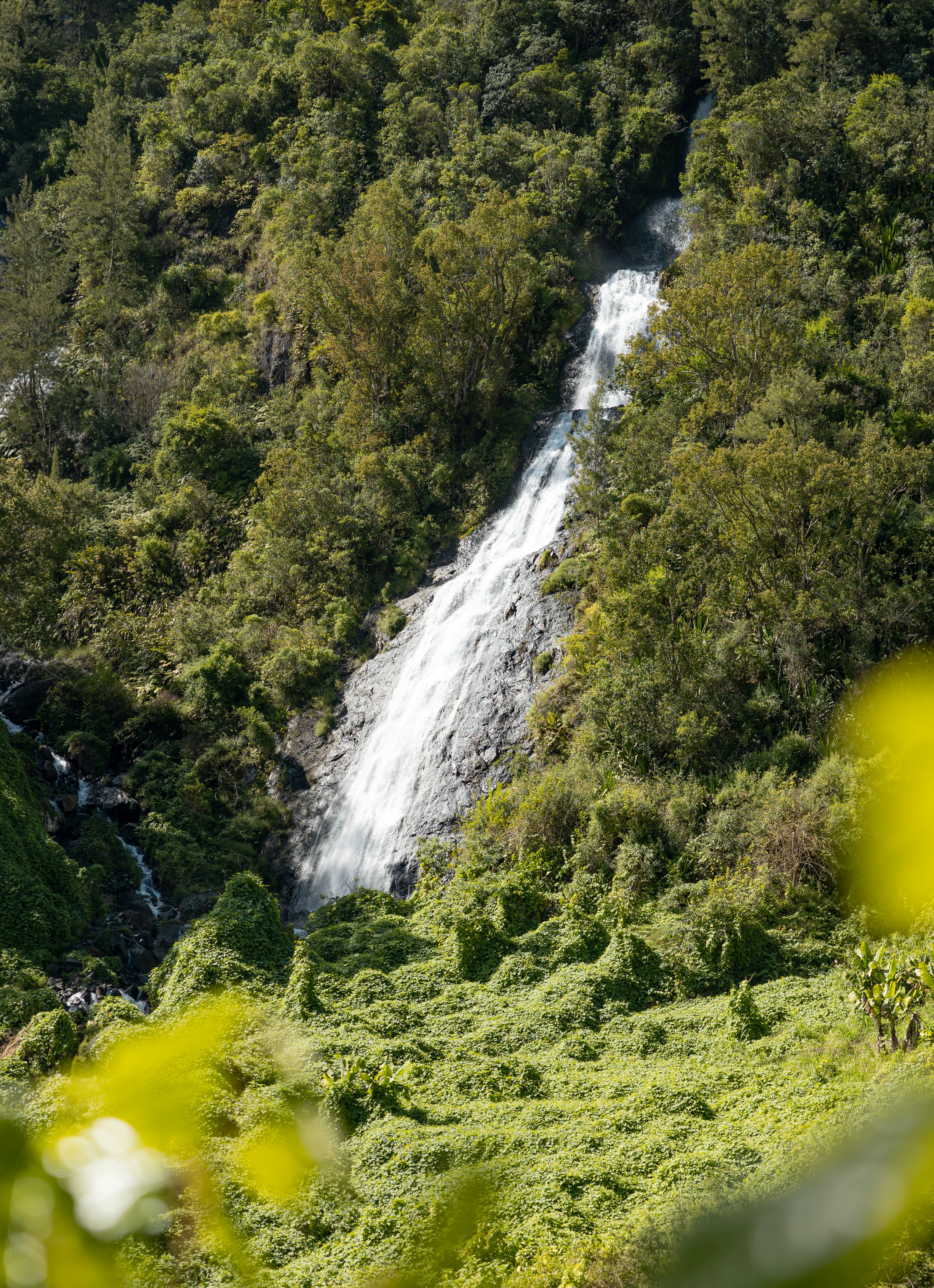 Photo by louispaulin