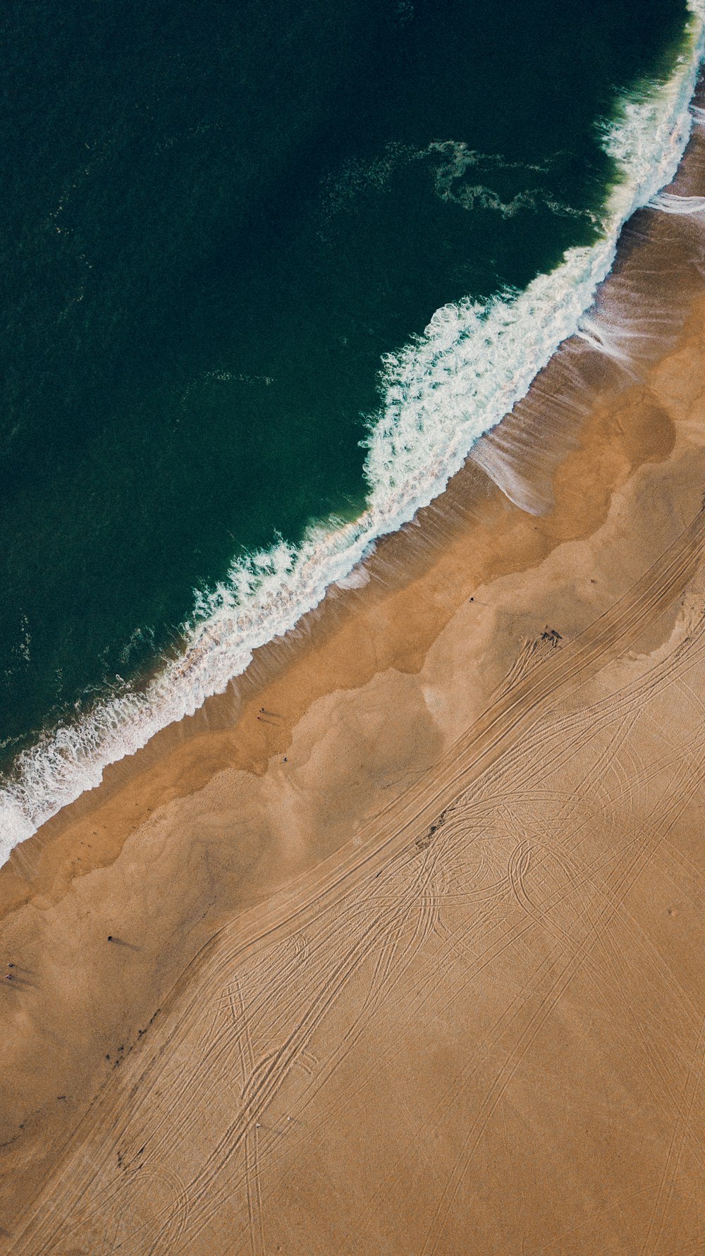 Una vista a volo d'uccello di una spiaggia e dell'oceano