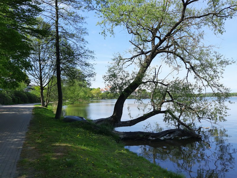 Mazury