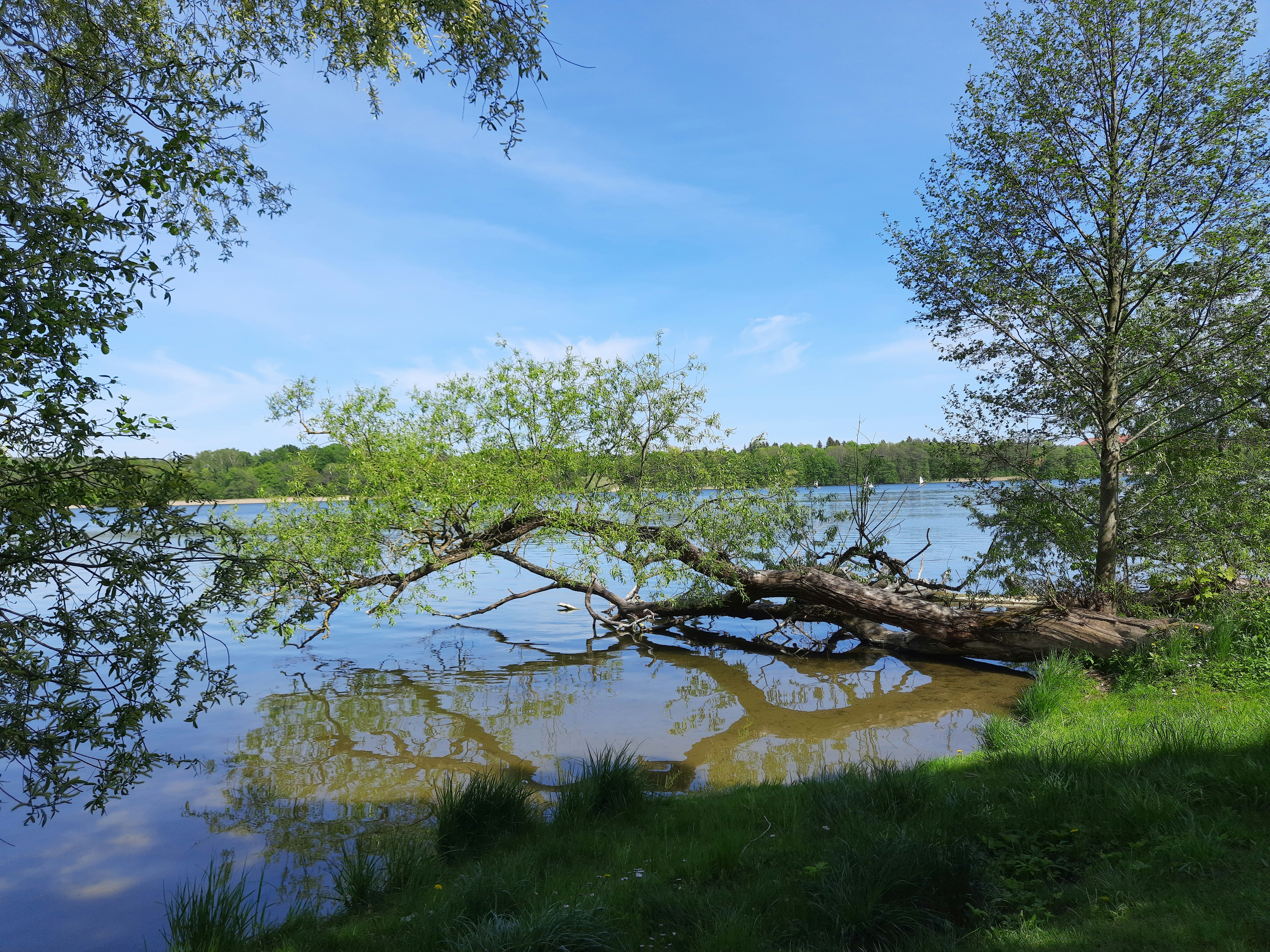 Photo by masuren_men