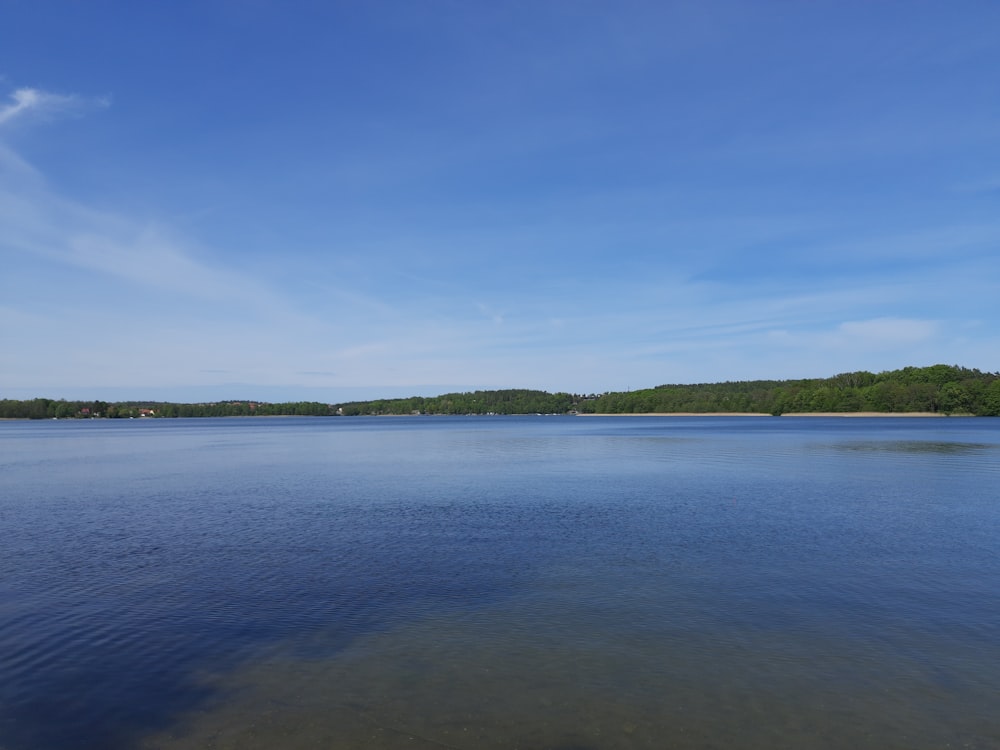 a large body of water surrounded by trees