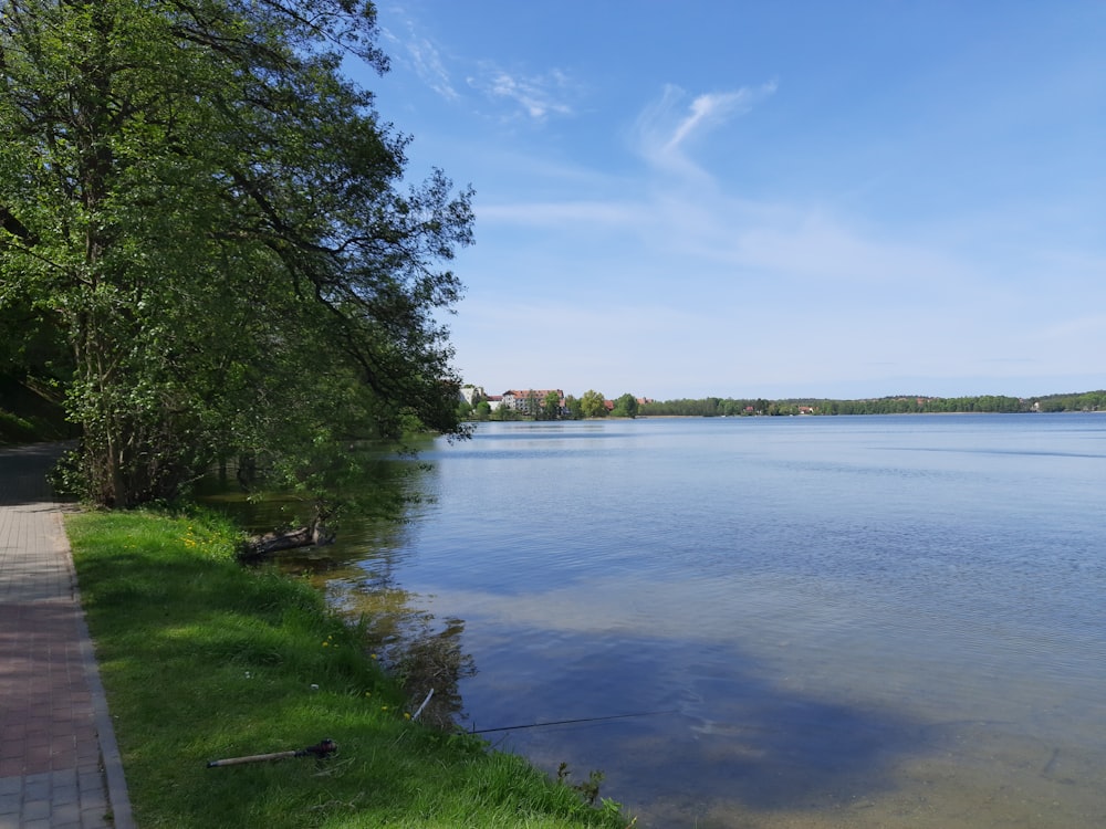 a large body of water sitting next to a lush green forest