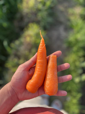 Close-up of a bright orange carrot and ginger detox juice with fresh carrots in the background.