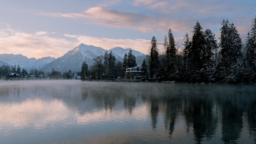 a body of water surrounded by trees and mountains