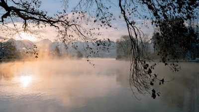 A serene landscape shot of mist rolling over a quiet lake at sunrise, evoking calm and possibility.