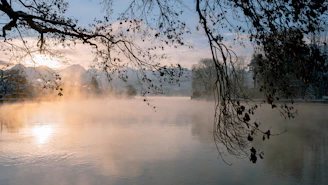 A serene landscape shot of mist rolling over a quiet lake at sunrise, evoking calm and possibility.