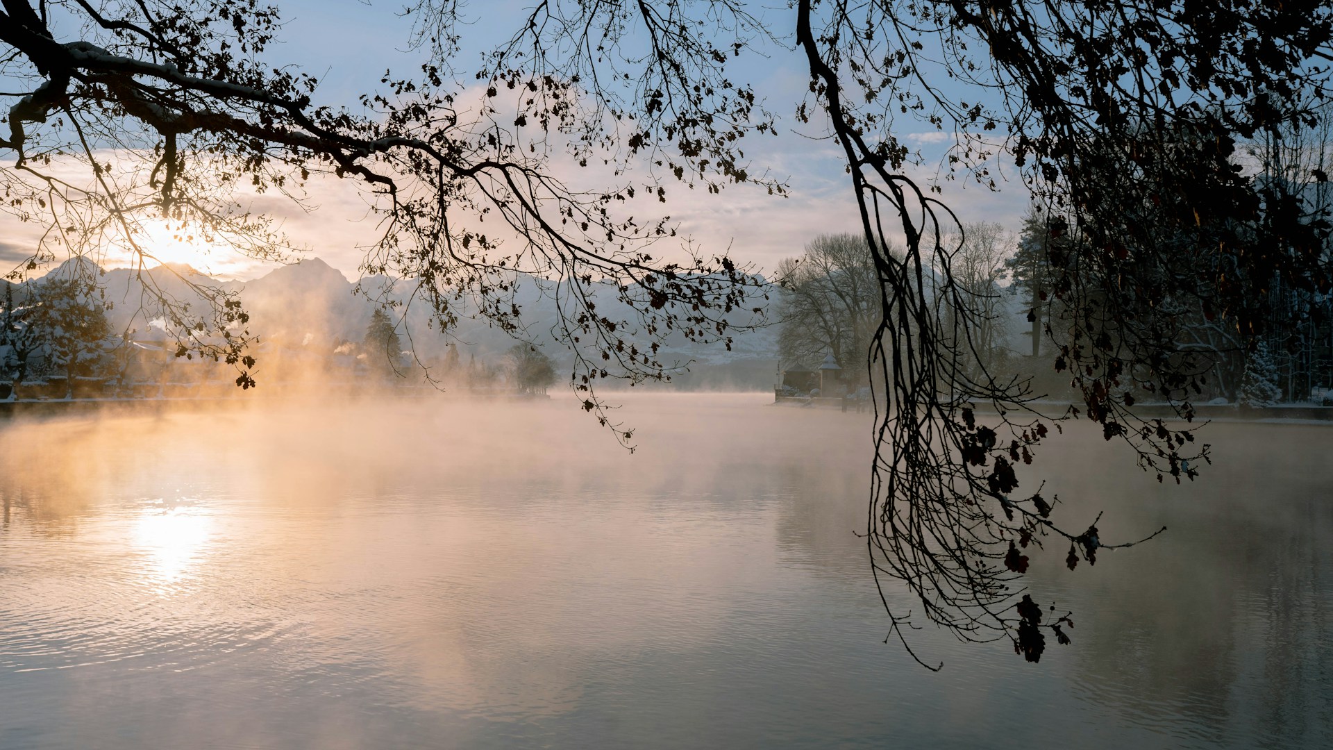 A serene landscape shot of mist rolling over a quiet lake at sunrise, framed by silhouetted trees.