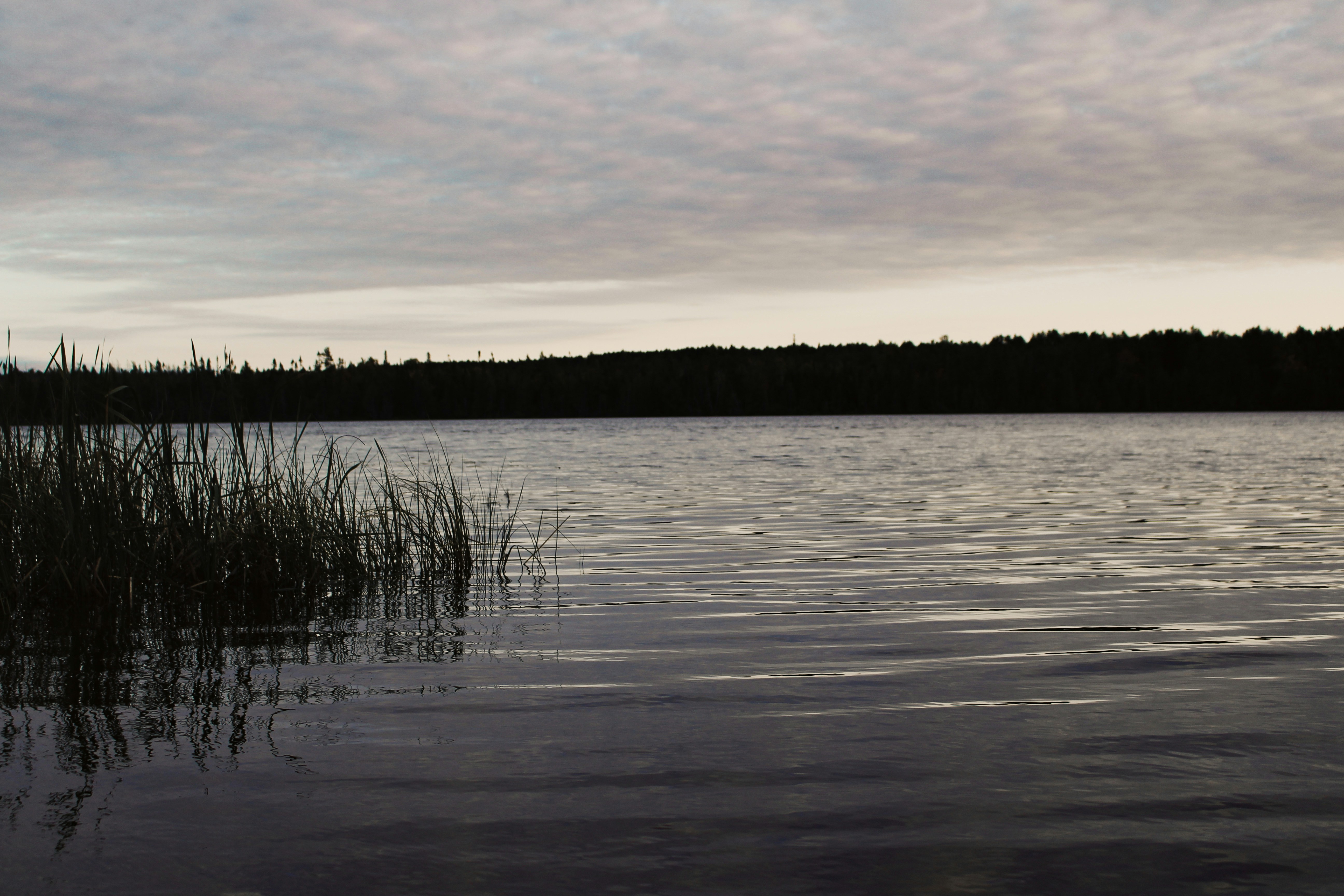 Photo by elijahaustin