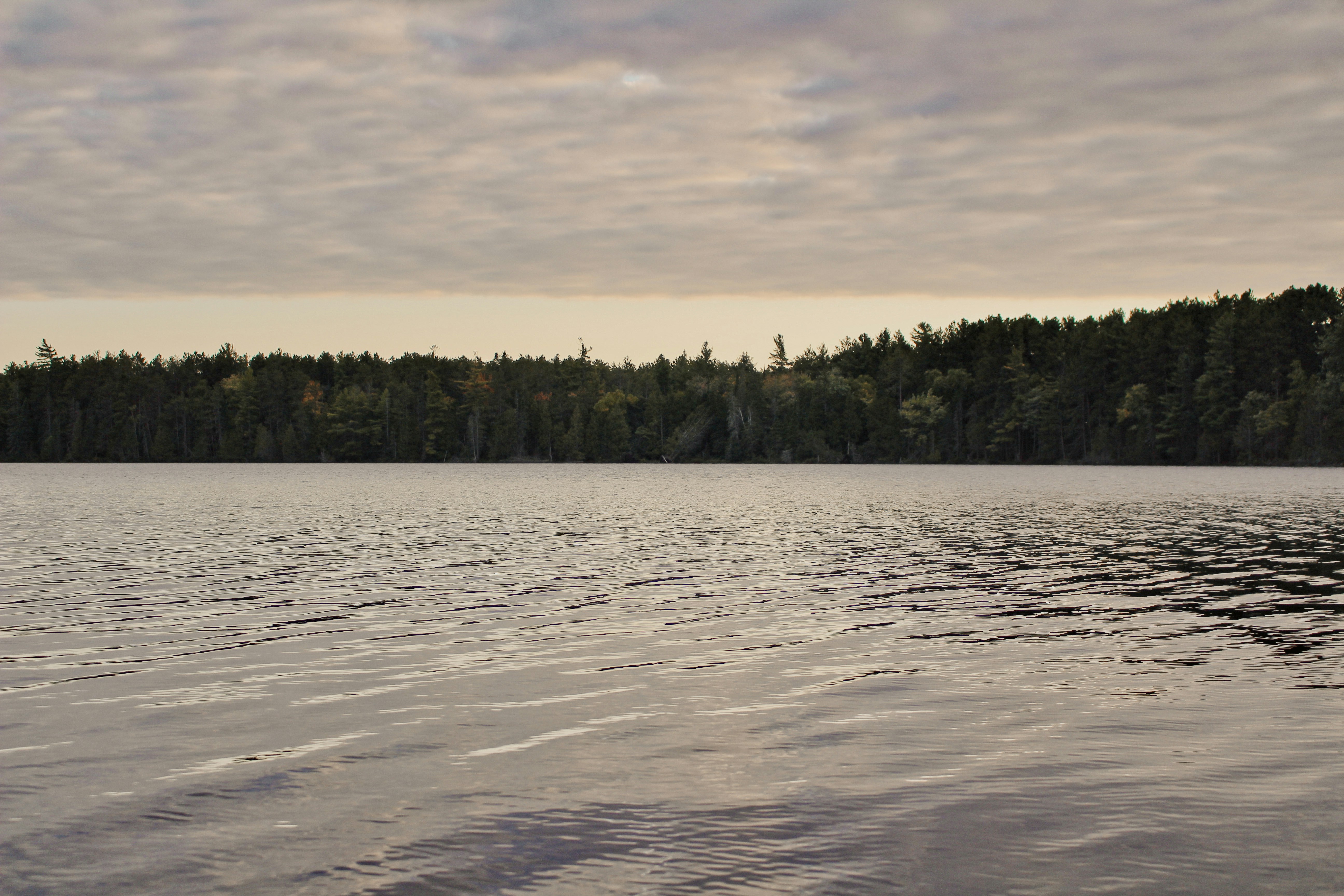 Photo by elijahaustin