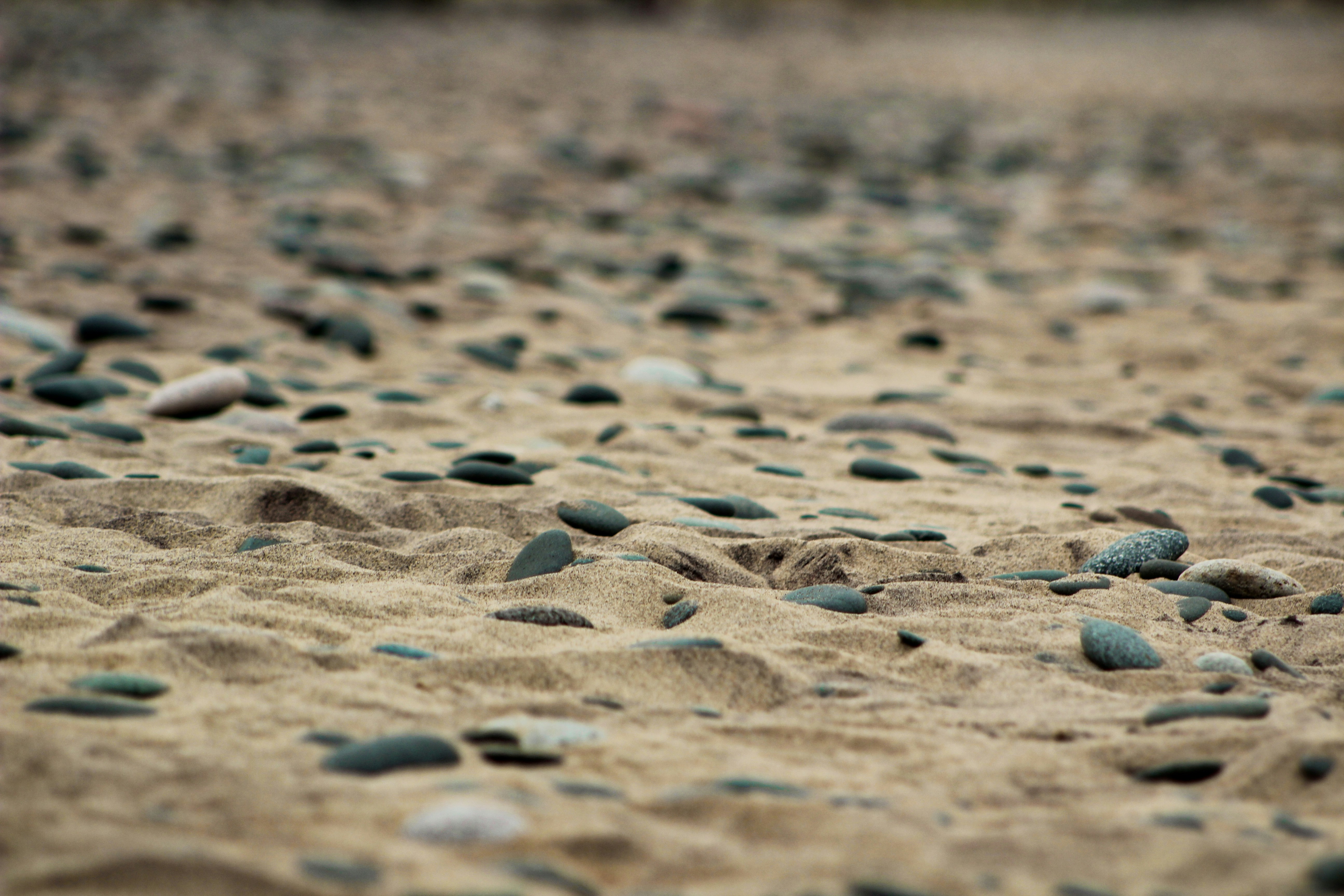 Photo by elijahaustin