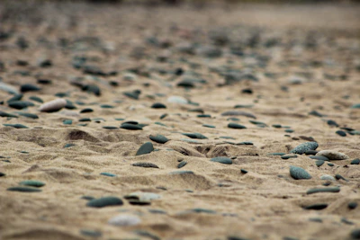 a bunch of rocks that are in the sand