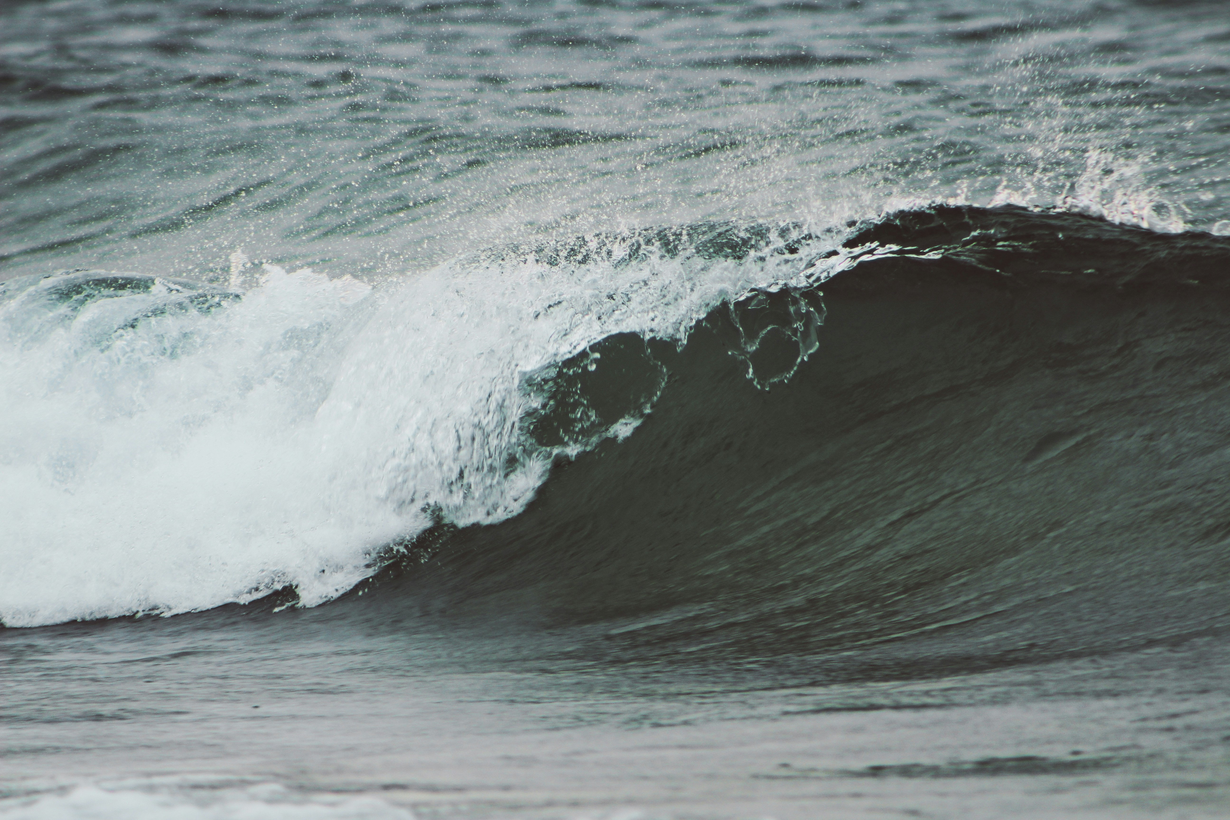 Photo by elijahaustin