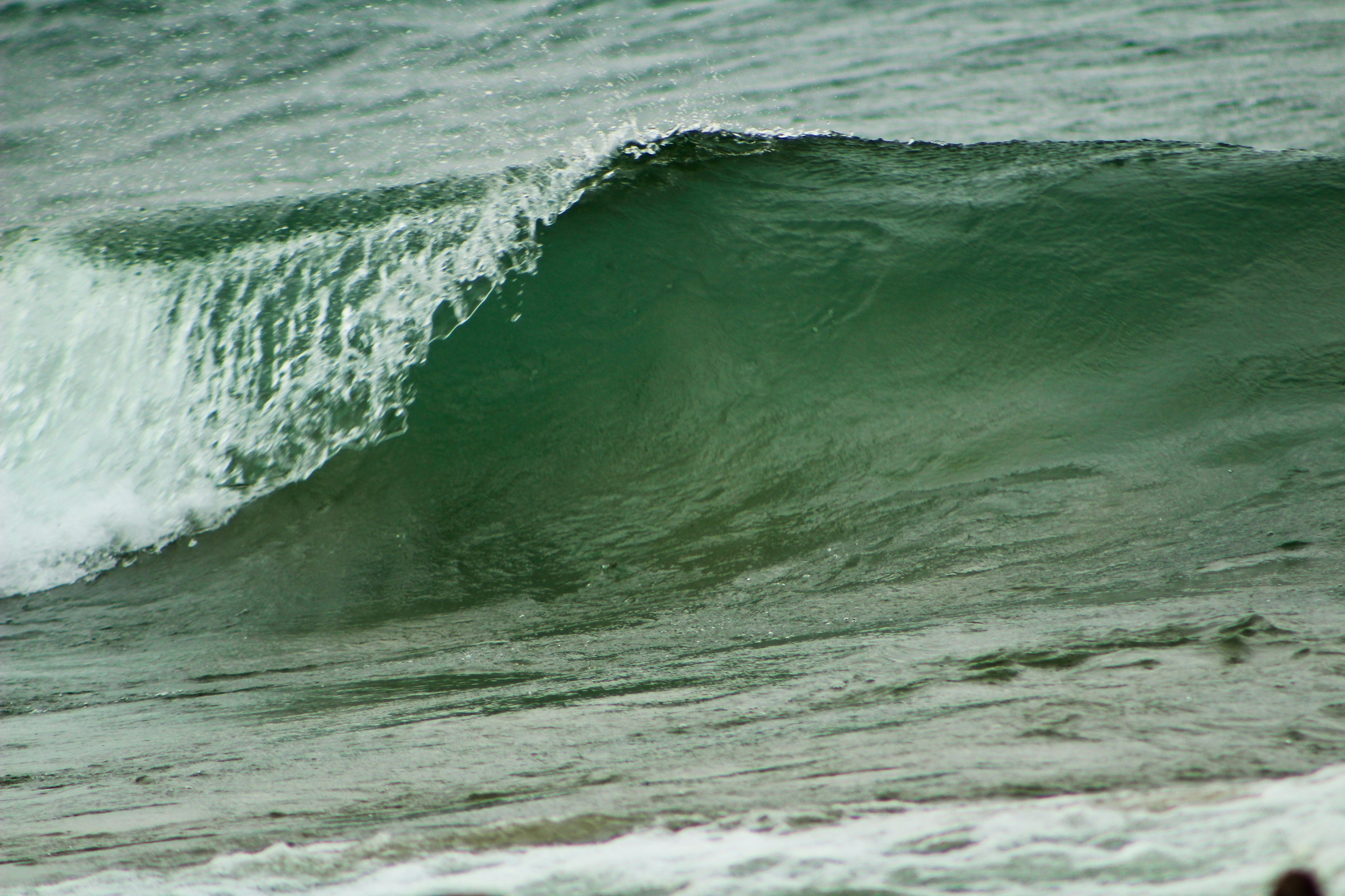 Photo by elijahaustin