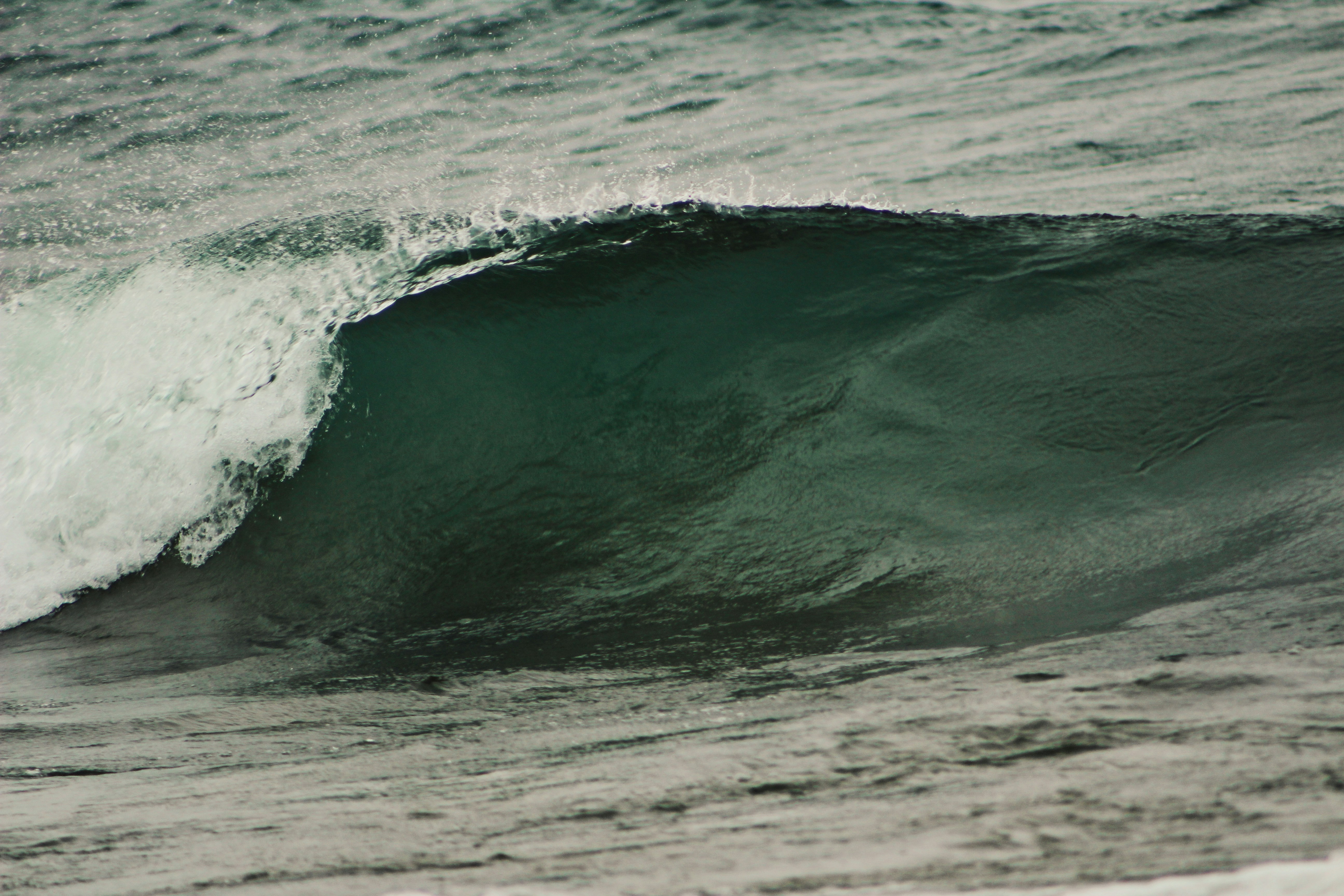 Photo by elijahaustin