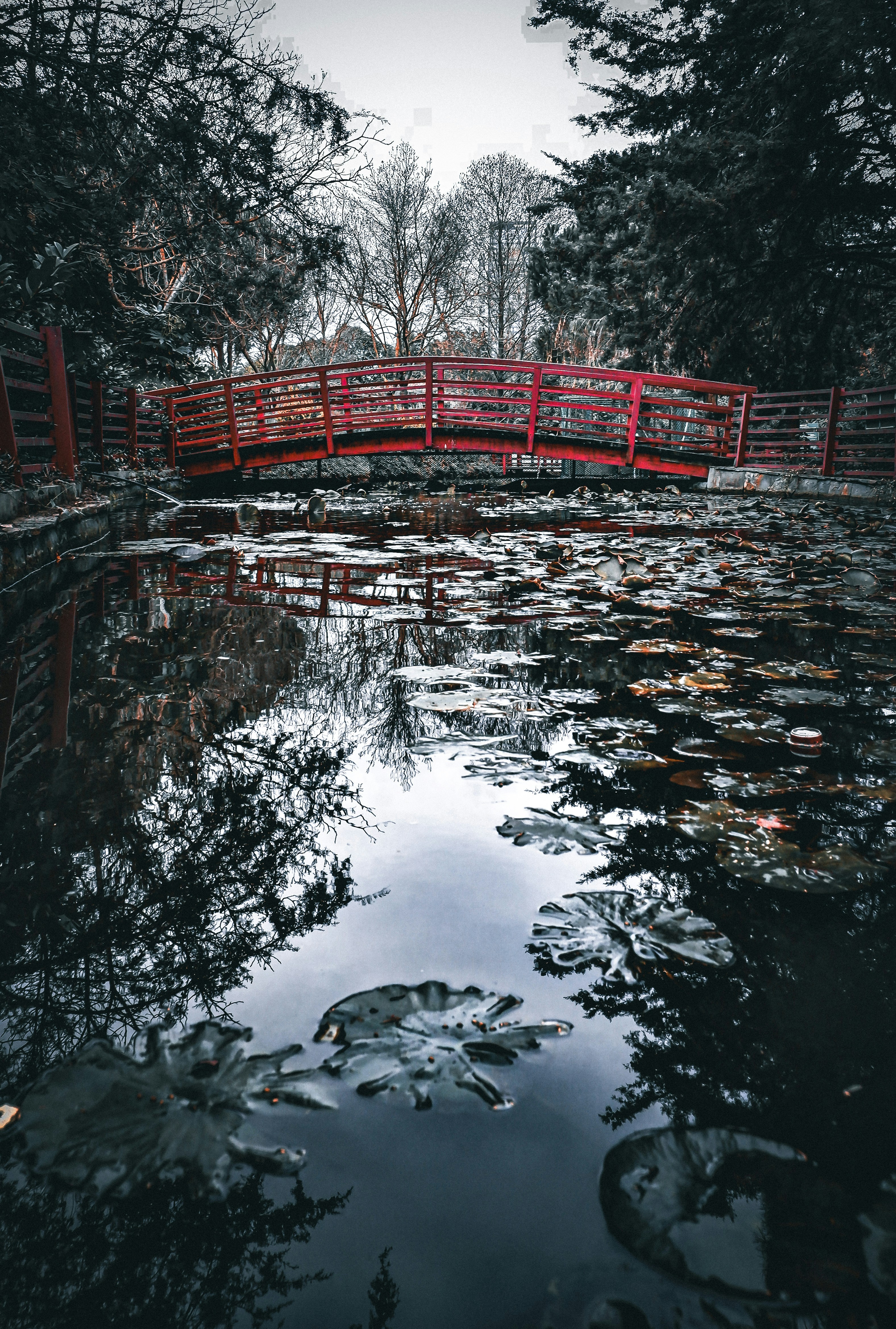 Photo by burakdonertas