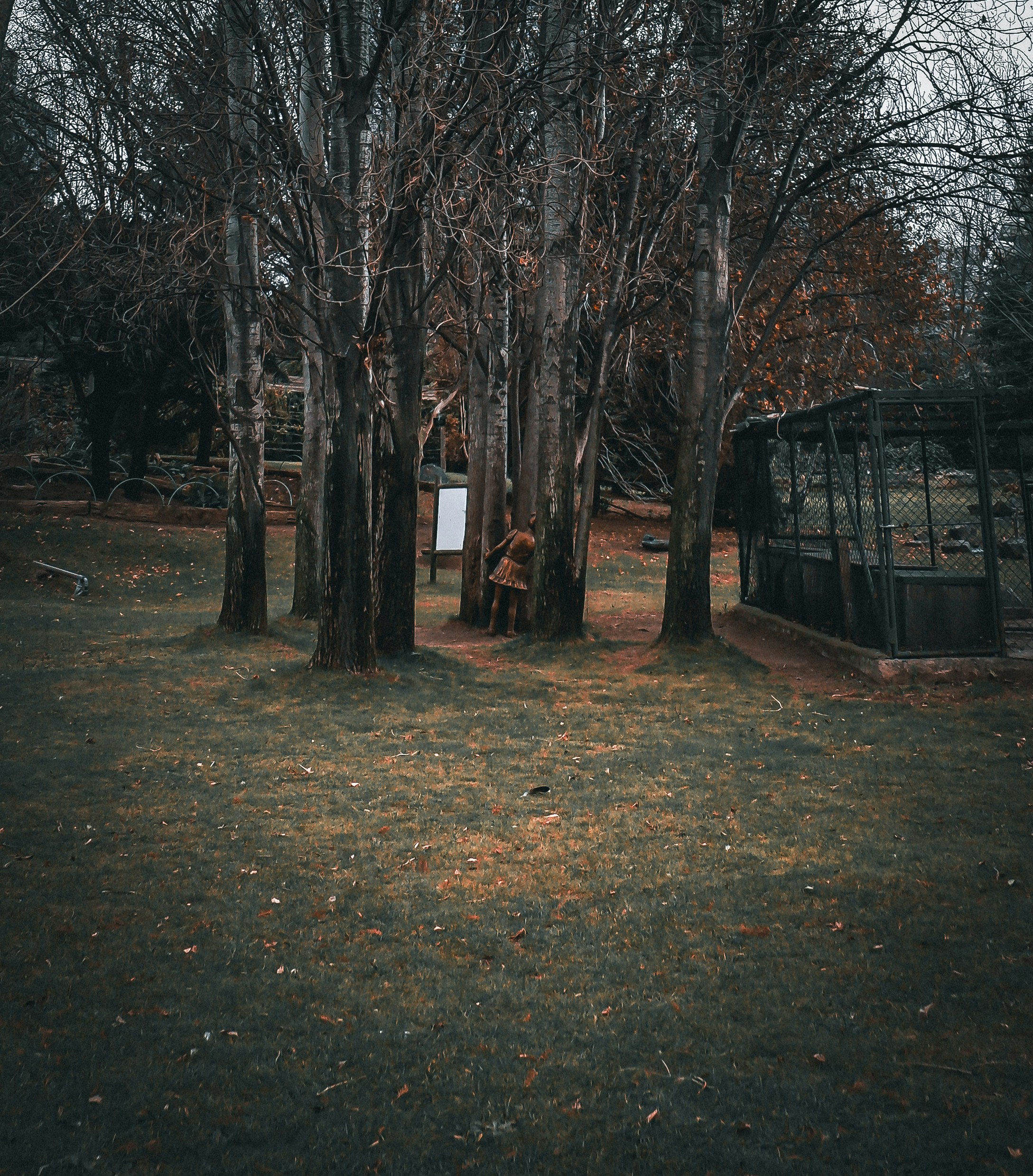 Photo by burakdonertas