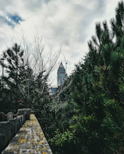 A tall telecommunications tower under construction with workers and cranes around.