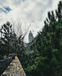 A tall telecommunications tower under construction with workers and cranes around.