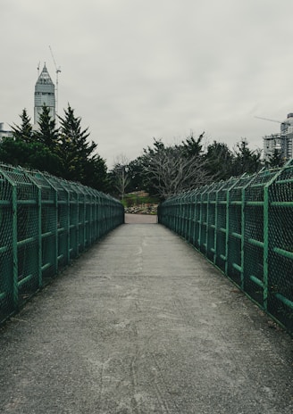 A concrete walkway flanked by green metal railings extends into the distance, bordered by trees on either side. A tall building and construction cranes are visible against a cloudy gray sky.