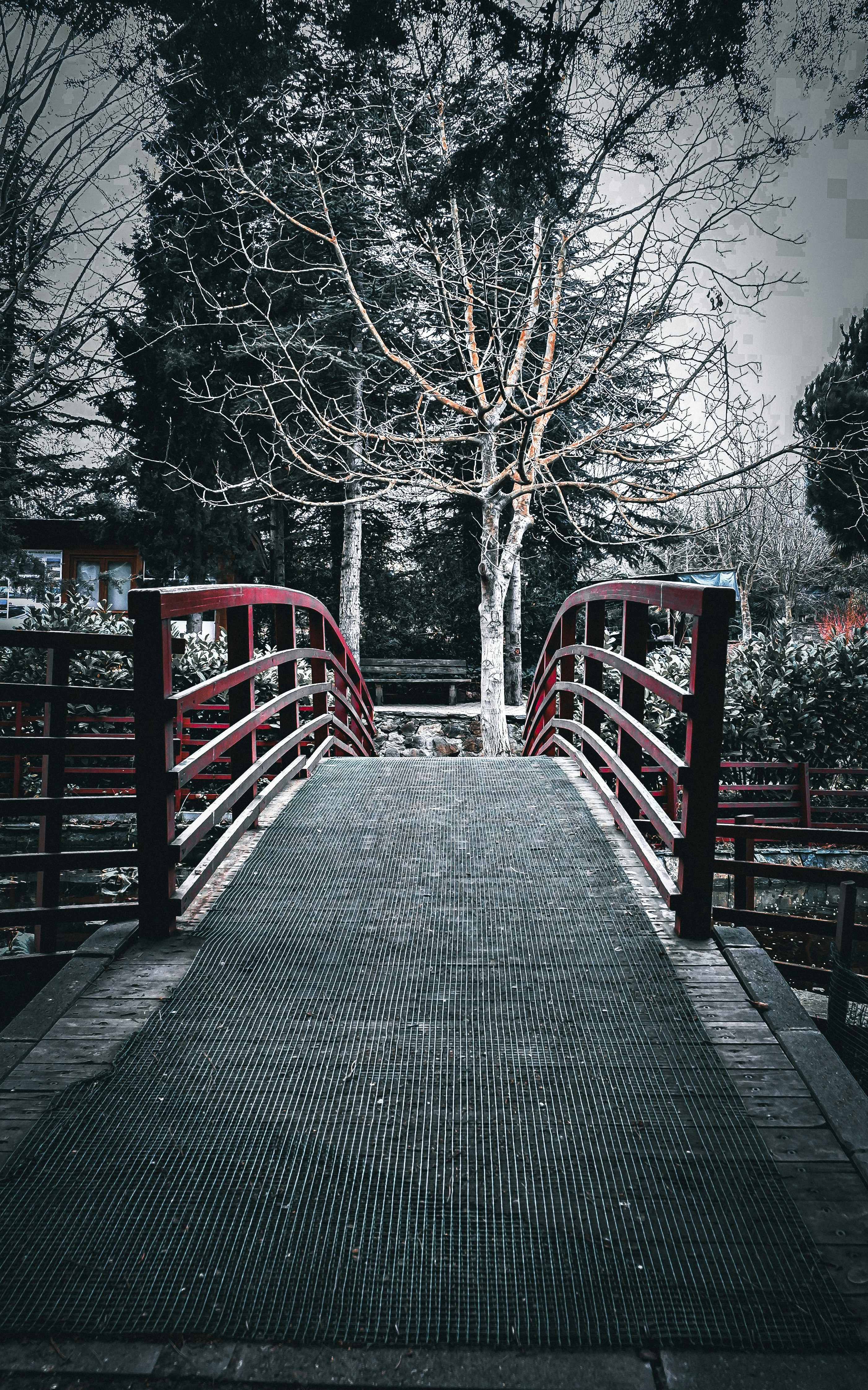 Photo by burakdonertas