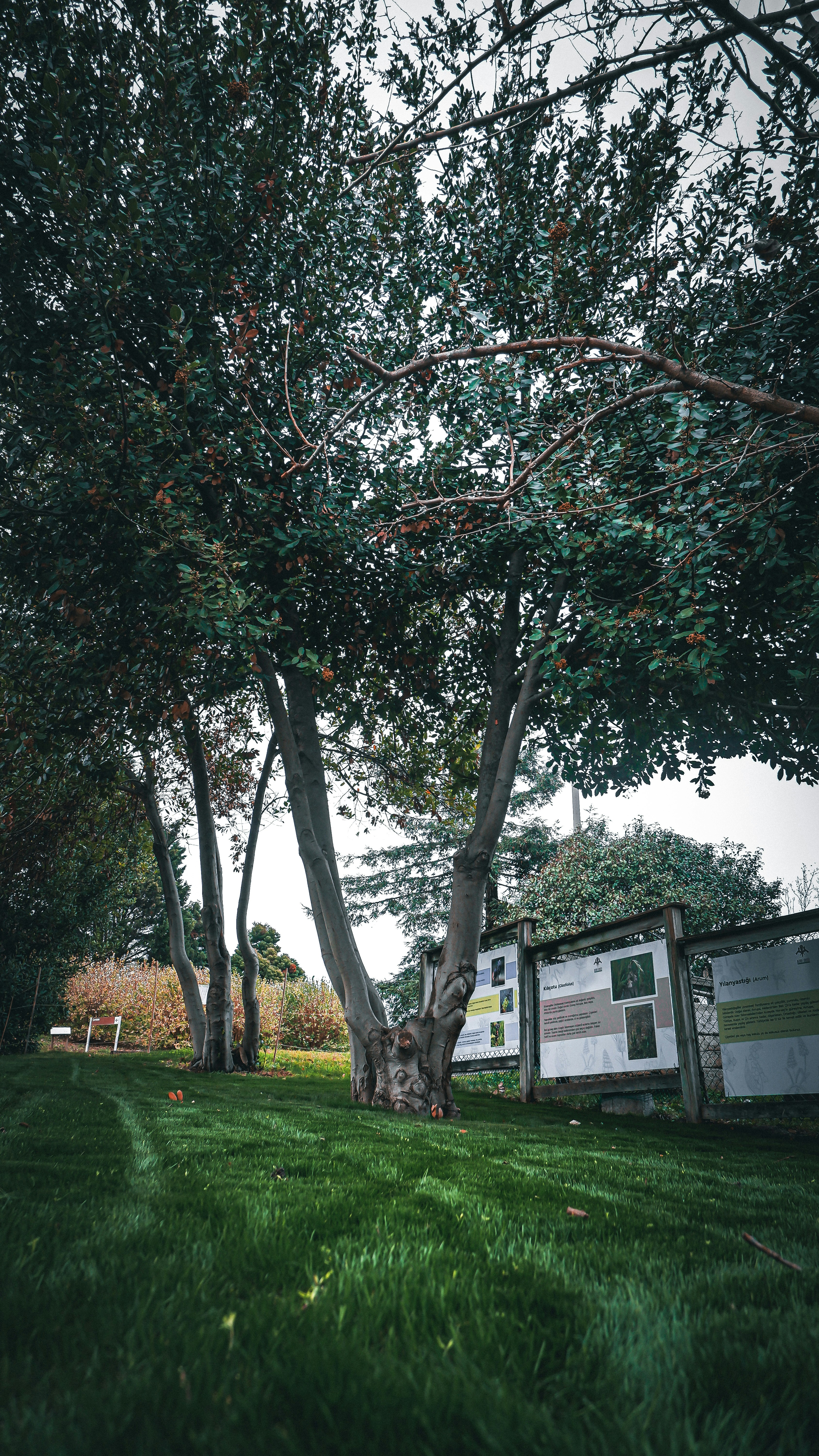 Photo by burakdonertas