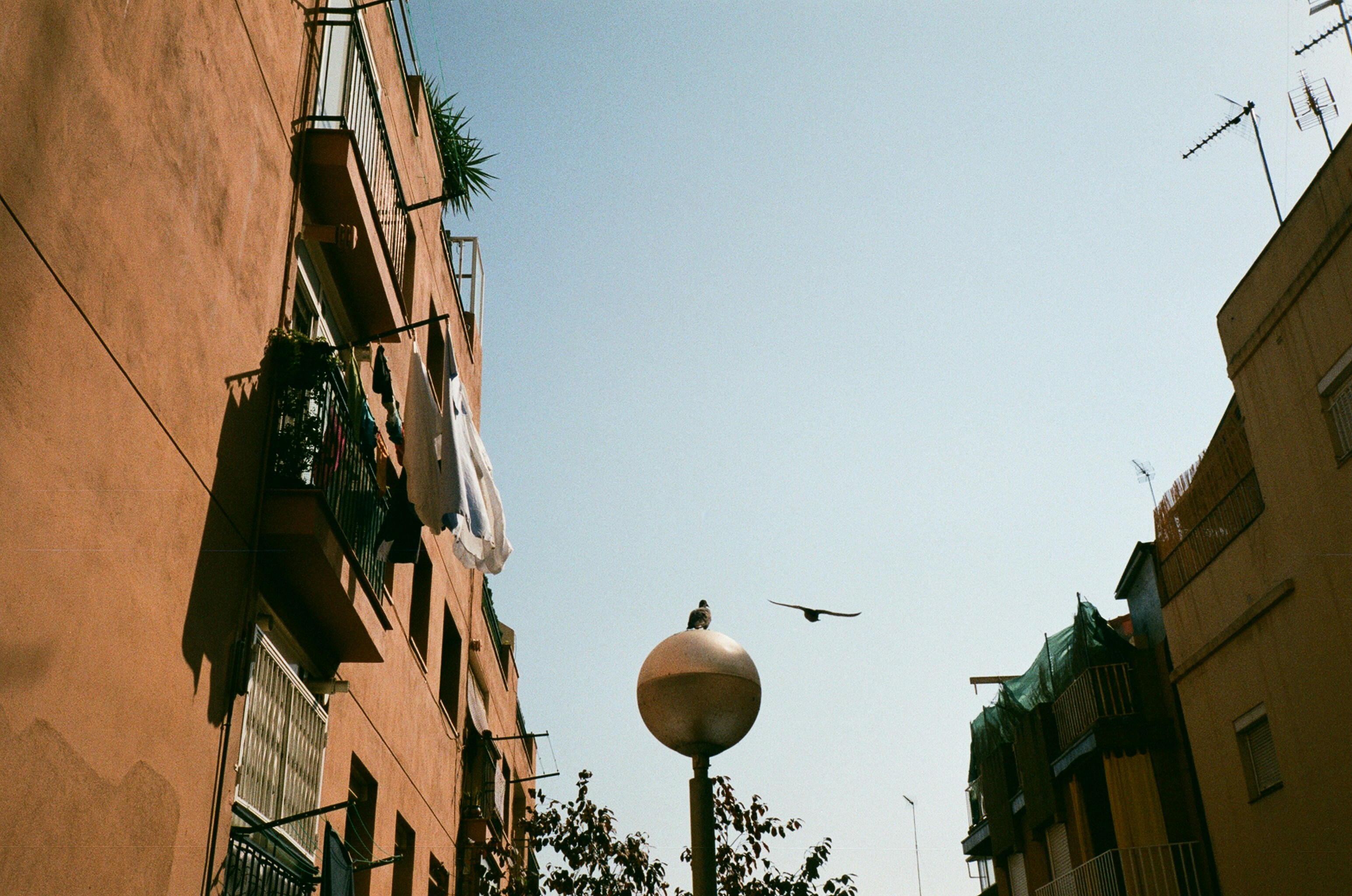 Photo by dinaamazing
