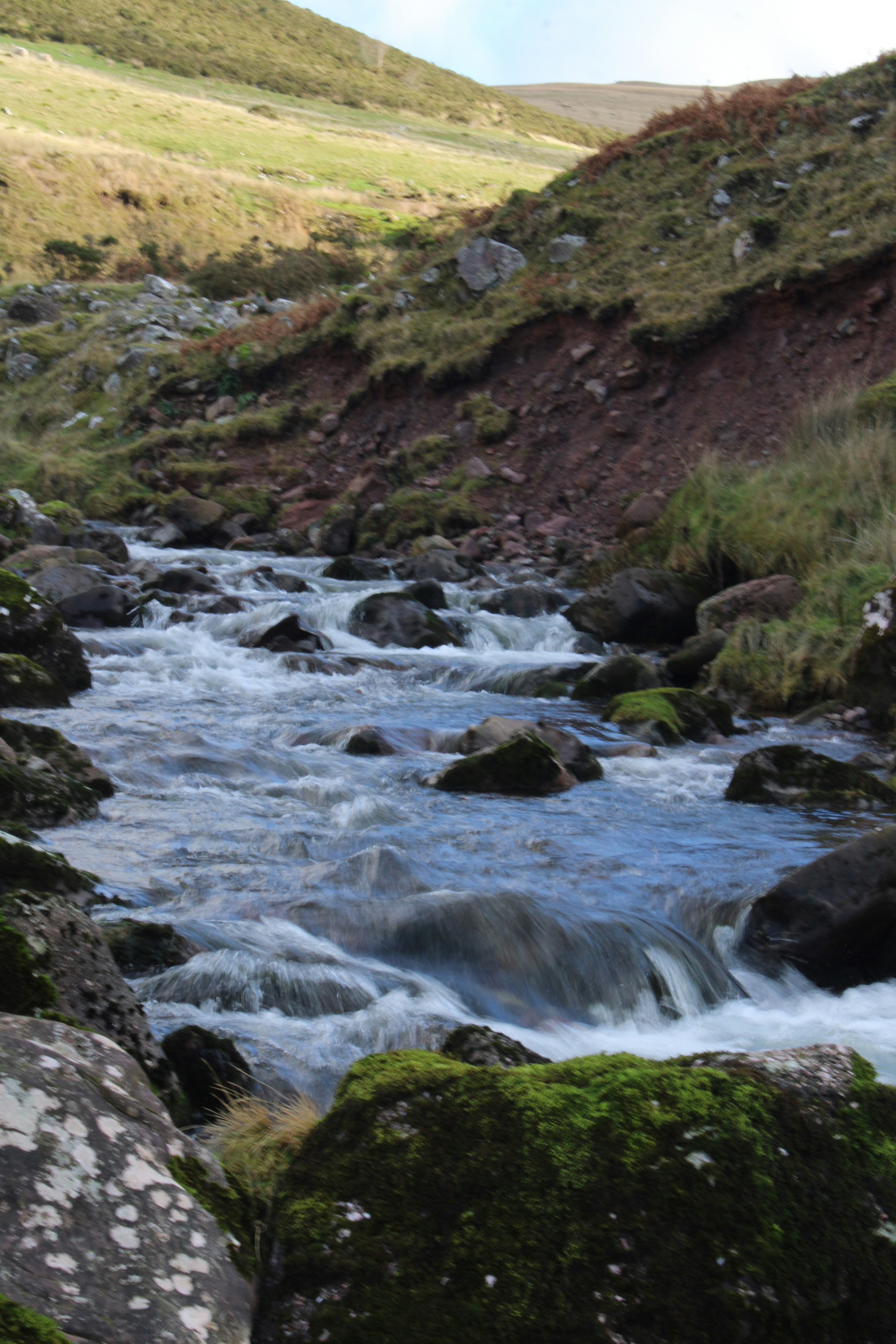 Photo by balesphotographyco